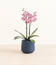 Load image into Gallery viewer, Deep Navy*****Profile