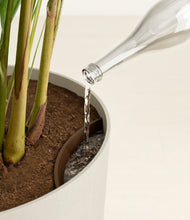 Load image into Gallery viewer, Natural Bamboo