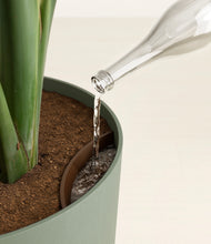 Load image into Gallery viewer, Sage Green