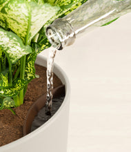 Load image into Gallery viewer, Natural Bamboo stand:all