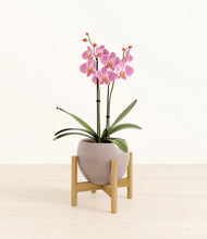 Load image into Gallery viewer, Winter Clouds stand:bamboo