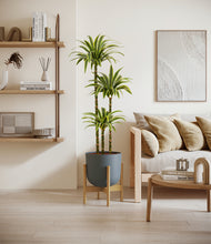 Load image into Gallery viewer, Iron Gray stand:bamboo