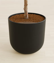 Load image into Gallery viewer, Stone Black