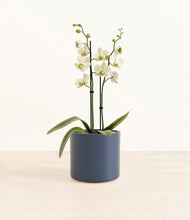 Load image into Gallery viewer, Deep Navy*****Profile