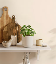 Load image into Gallery viewer, Natural Bamboo