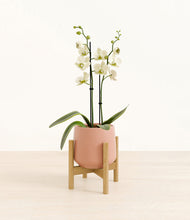 Load image into Gallery viewer, Calm Rose stand:bamboo