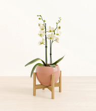 Load image into Gallery viewer, Calm Rose stand:bamboo