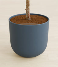 Load image into Gallery viewer, Iron Gray