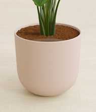 Load image into Gallery viewer, Sandy Pink