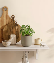 Load image into Gallery viewer, Sage Green
