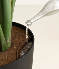 Load image into Gallery viewer, Stone Black