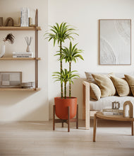Load image into Gallery viewer, Earth Red stand:walnut