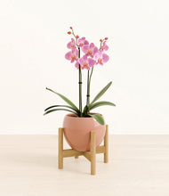 Load image into Gallery viewer, Calm Rose stand:bamboo