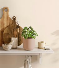 Load image into Gallery viewer, Sandy Pink