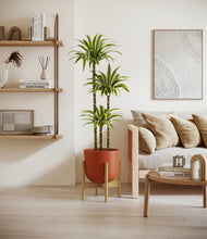 Load image into Gallery viewer, Earth Red stand:bamboo
