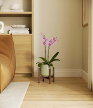 Load image into Gallery viewer, Turquoise stand:walnut