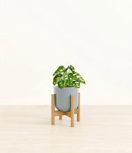 Load image into Gallery viewer, Misty Blue stand:light