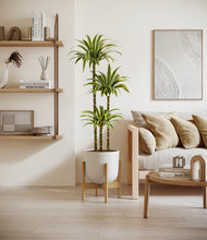 Load image into Gallery viewer, Natural Bamboo stand:bamboo