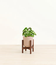 Load image into Gallery viewer, Sandy Pink stand:dark