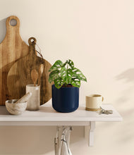 Load image into Gallery viewer, Twilight Blue