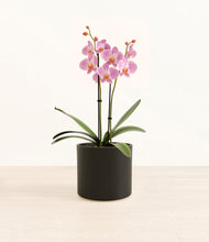 Load image into Gallery viewer, Black*****Profile