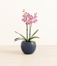 Load image into Gallery viewer, Deep Navy*****Profile