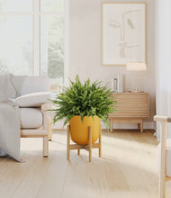 Load image into Gallery viewer, Sunset Orange stand:light
