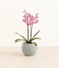 Load image into Gallery viewer, Deep Ocean*****Profile