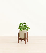 Load image into Gallery viewer, Sage Green stand:dark