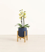 Load image into Gallery viewer, Deep Navy stand:bamboo