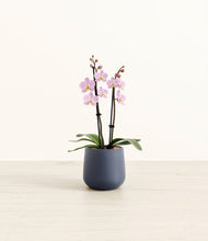 Load image into Gallery viewer, Deep Navy*****Profile