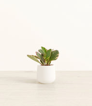 Load image into Gallery viewer, White*****Profile