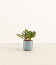 Load image into Gallery viewer, Misty Blue*****Profile