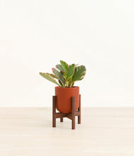 Load image into Gallery viewer, Earth Red stand:walnut
