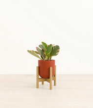 Load image into Gallery viewer, Earth Red stand:bamboo
