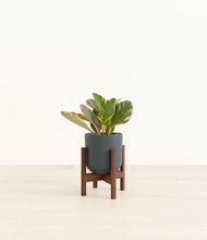 Load image into Gallery viewer, Iron Gray stand:walnut