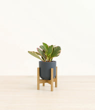 Load image into Gallery viewer, Iron Gray stand:bamboo