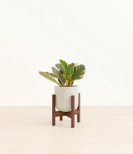 Load image into Gallery viewer, Natural Bamboo stand:walnut