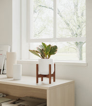 Load image into Gallery viewer, White stand:walnut