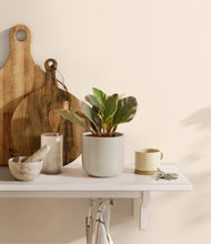 Load image into Gallery viewer, Cotton White