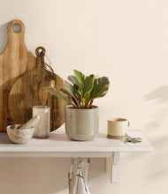 Load image into Gallery viewer, Sage Green
