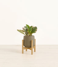 Load image into Gallery viewer, Olive stand:bamboo