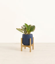Load image into Gallery viewer, Deep Navy stand:bamboo
