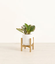 Load image into Gallery viewer, White stand:bamboo