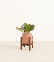 Load image into Gallery viewer, Calm Rose stand:walnut