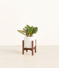 Load image into Gallery viewer, White stand:walnut