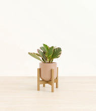 Load image into Gallery viewer, Glossy Pink stand:bamboo