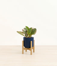 Load image into Gallery viewer, Twilight Blue stand:bamboo