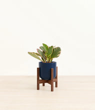 Load image into Gallery viewer, Twilight Blue stand:walnut