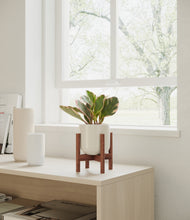 Load image into Gallery viewer, Cotton White stand:bamboo